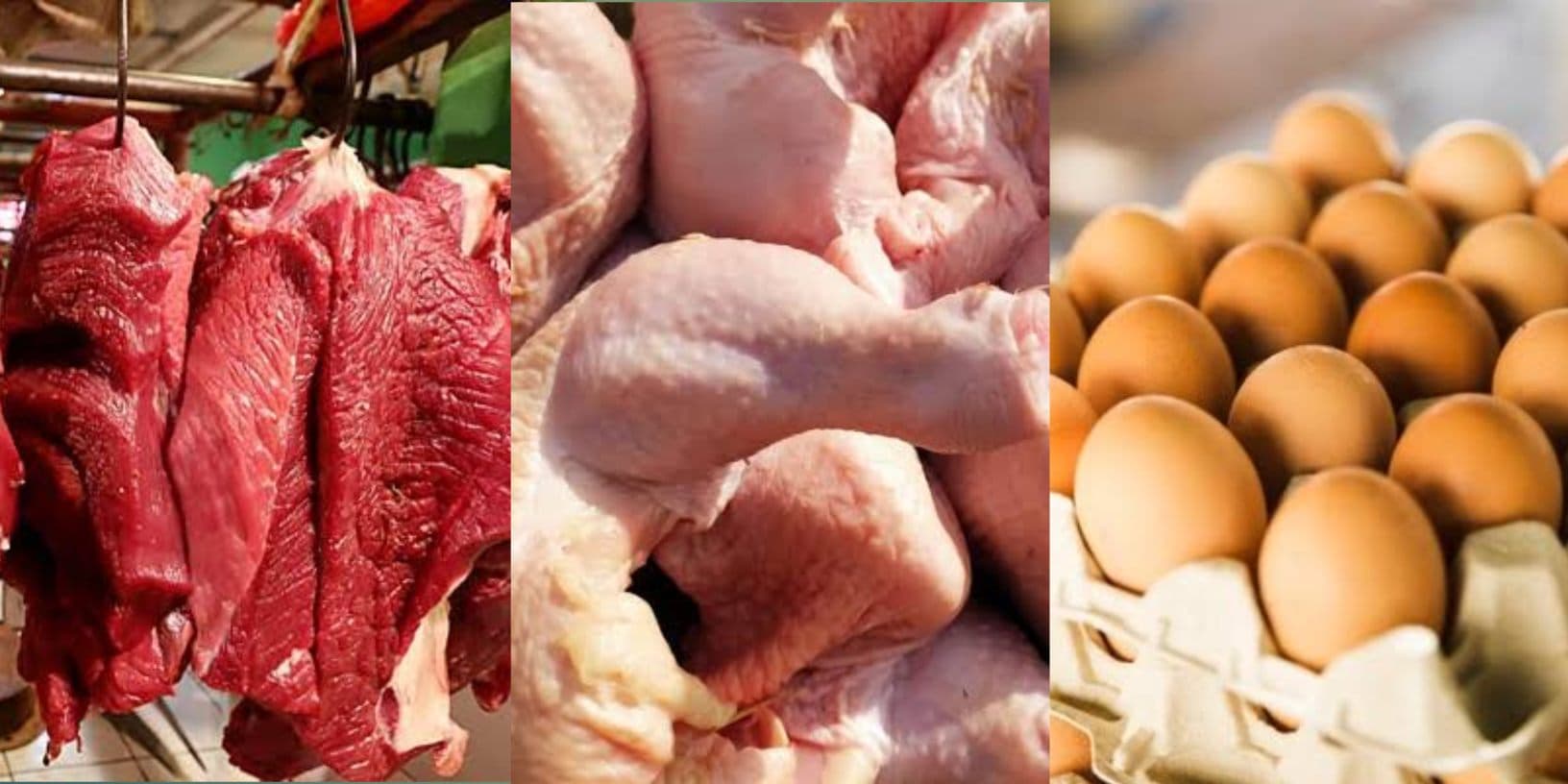 Di Balik Piring Kita: Mengapa Pengawasan Ketat Produk Hewan Menentukan Masa Depan Konsumsi Kita