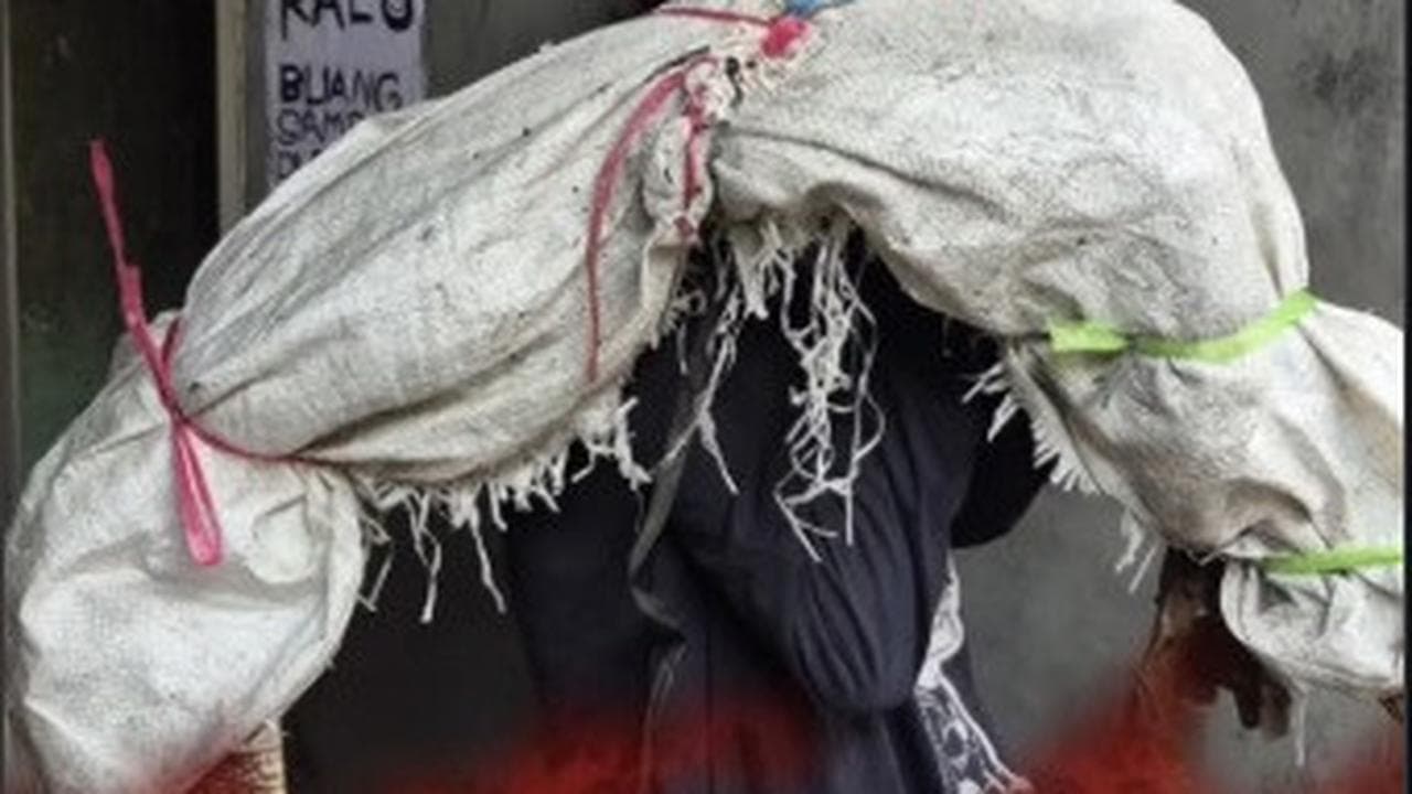 Dari Dugaan Kriminal ke Kisah Unik: Biawak dalam Karung yang Mengguncang Tambora