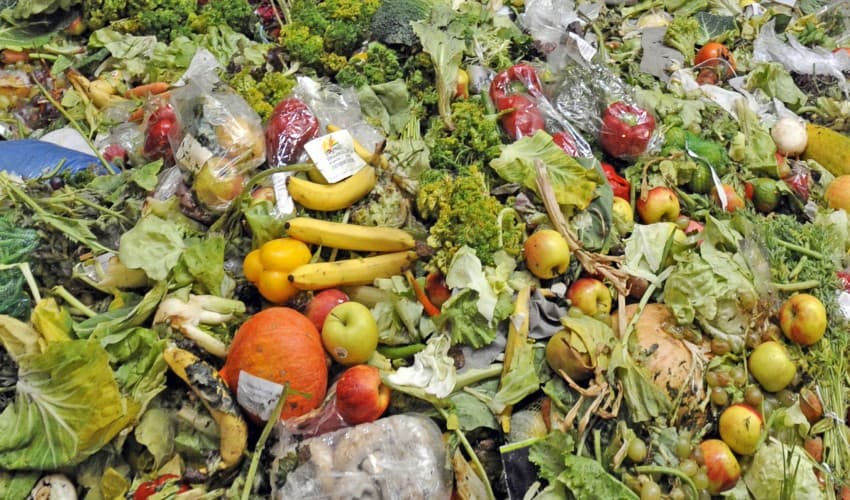 Mengurai Jejak Karbon di Balik Kebiasaan Belanja: Dari Keranjang ke Tempat Sampah