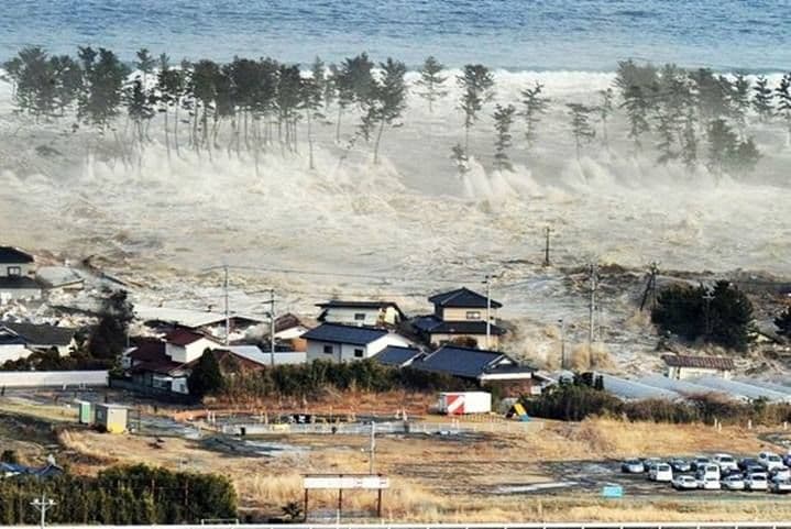 Sirine Tsunami Berbunyi: Jangan Panik, Ini Langkah Nyata yang Harus Anda Ambil Sekarang