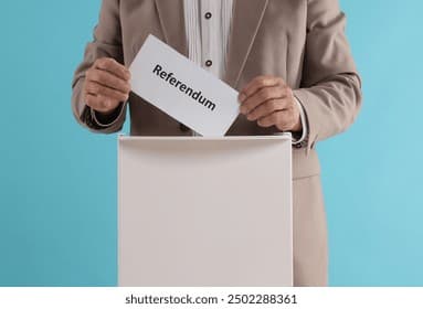 Islandia di Persimpangan Sejarah: Suara Rakyat Akan Tentukan Hubungan dengan Uni Eropa