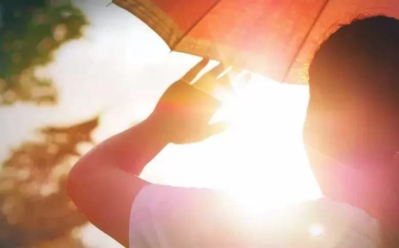 Dunia Terpanggang: Bagaimana Gelombang Panas 2026 Mengubah Cara Kita Hidup dan Berpikir