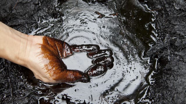 Ketika Dunia Bergetar: Dampak Riak Harga Minyak yang Mengubah Segalanya